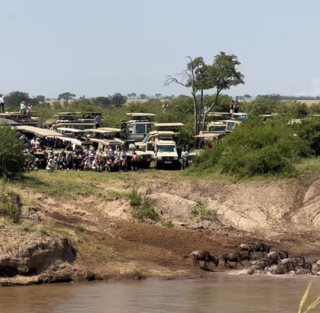 Safari-Firdosh-August-1